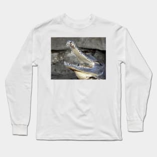 Freshwater Crocodile Long Sleeve T-Shirt